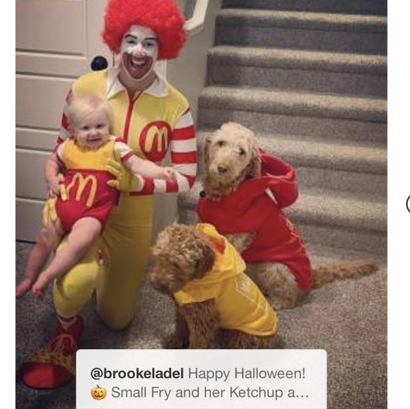 🐶 5 for $15 ○ Ketchup Hoodie Dog Costume - Picture 5 of 7